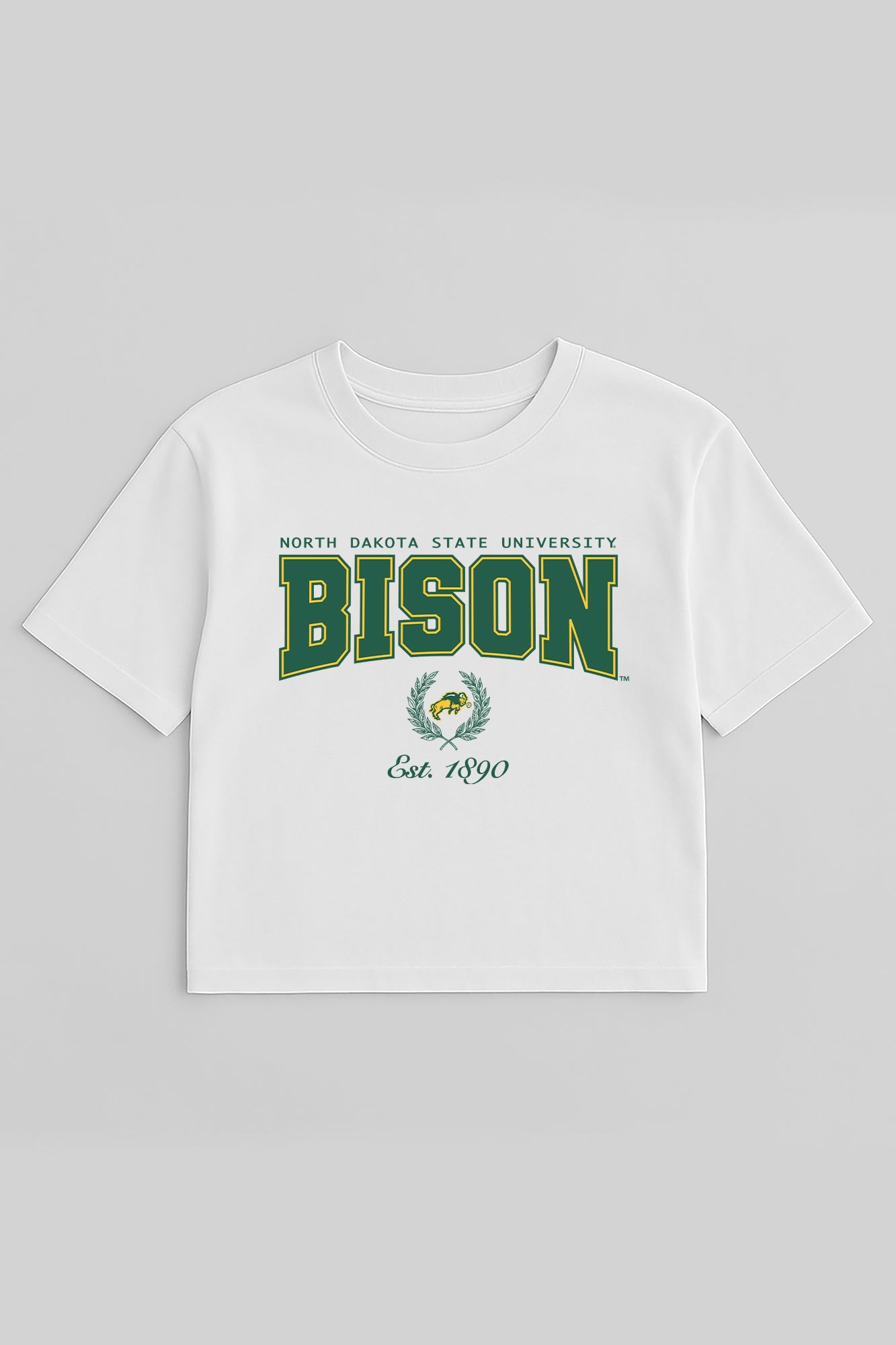 NORTH DAKOTA STATE BISON EASY WIN BOXY FIT CROP TEE