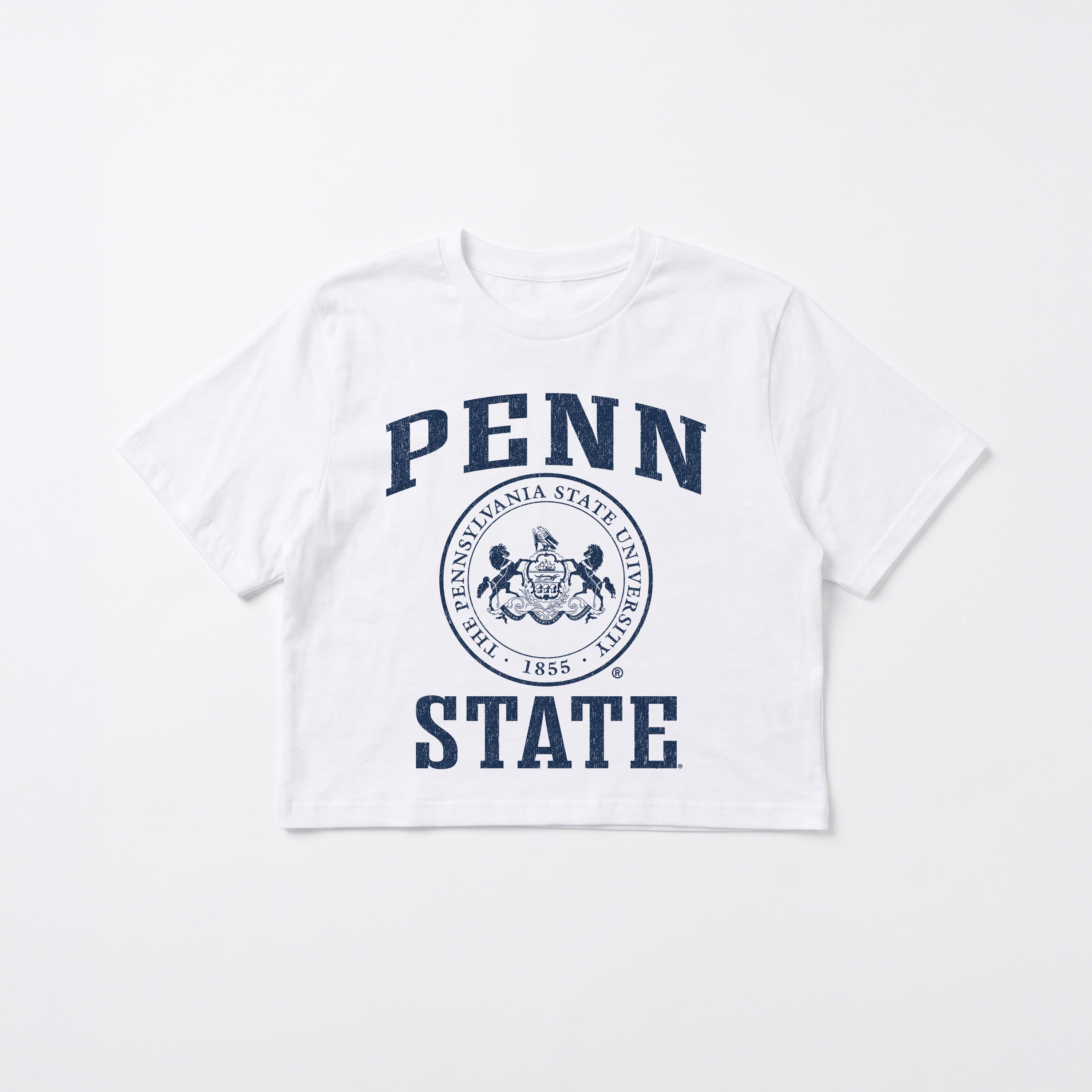 PENN STATE NITTANY LIONS RETRO PLAY BOXY FIT CROPPED TEE