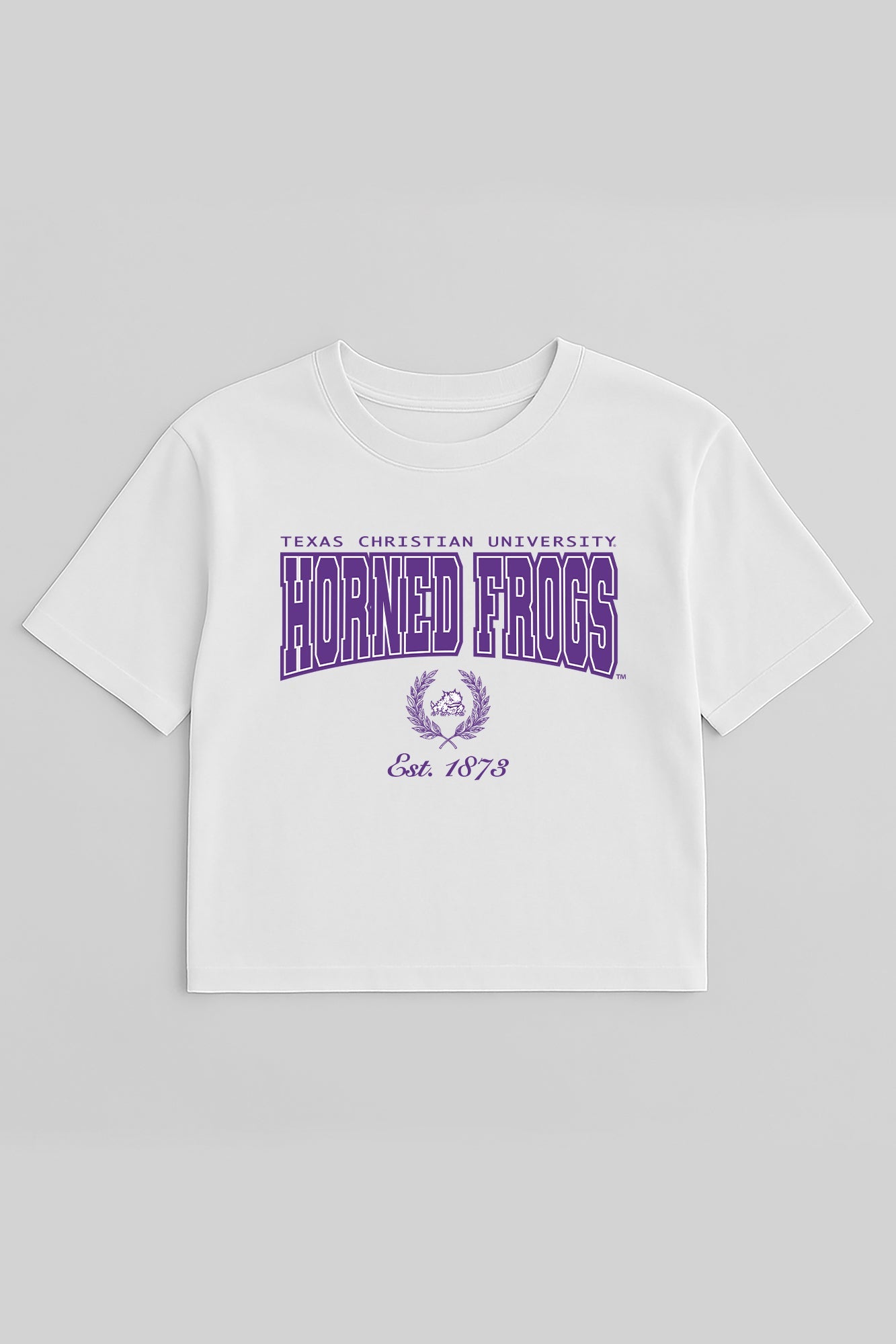 TCU HORNED FROGS EASY WIN BOXY FIT CROP TEE