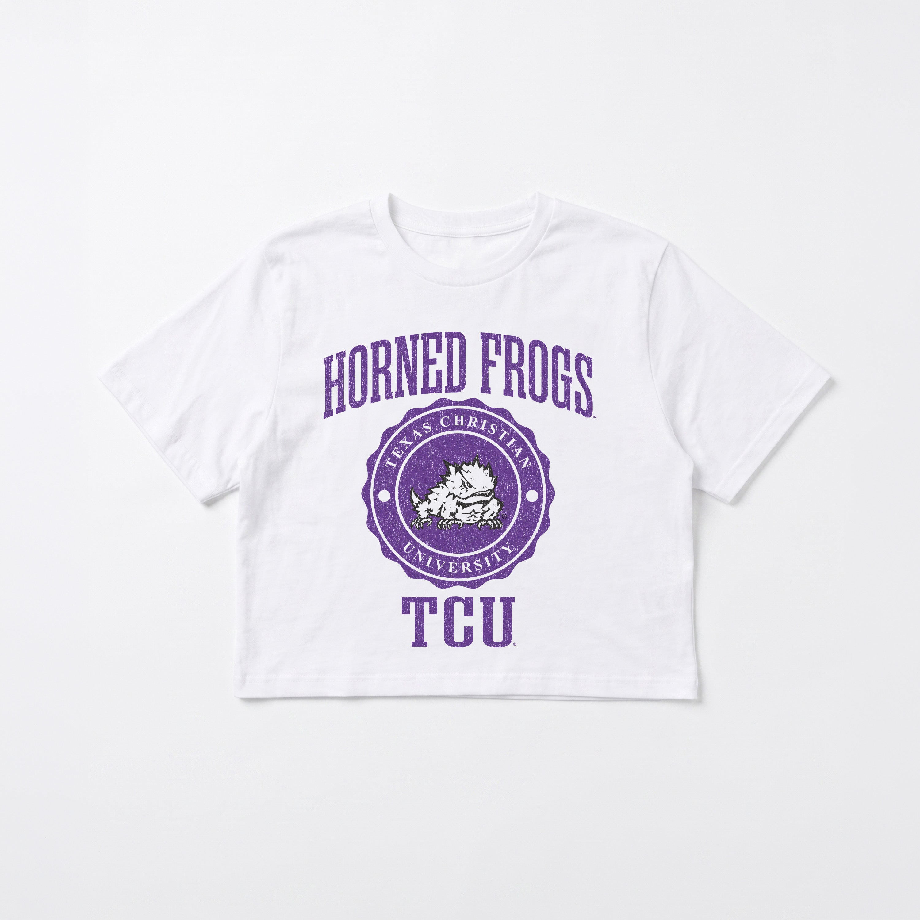 TCU HORNED FROGS RETRO PLAY BOXY FIT CROPPED TEE