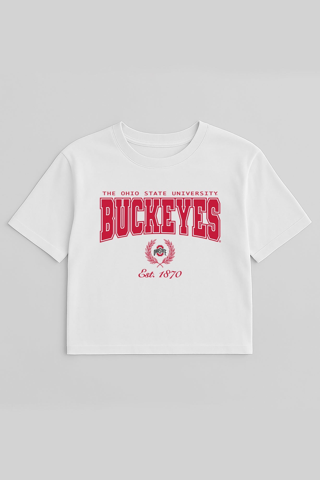 OHIO STATE BUCKEYES EASY WIN BOXY FIT CROP TEE