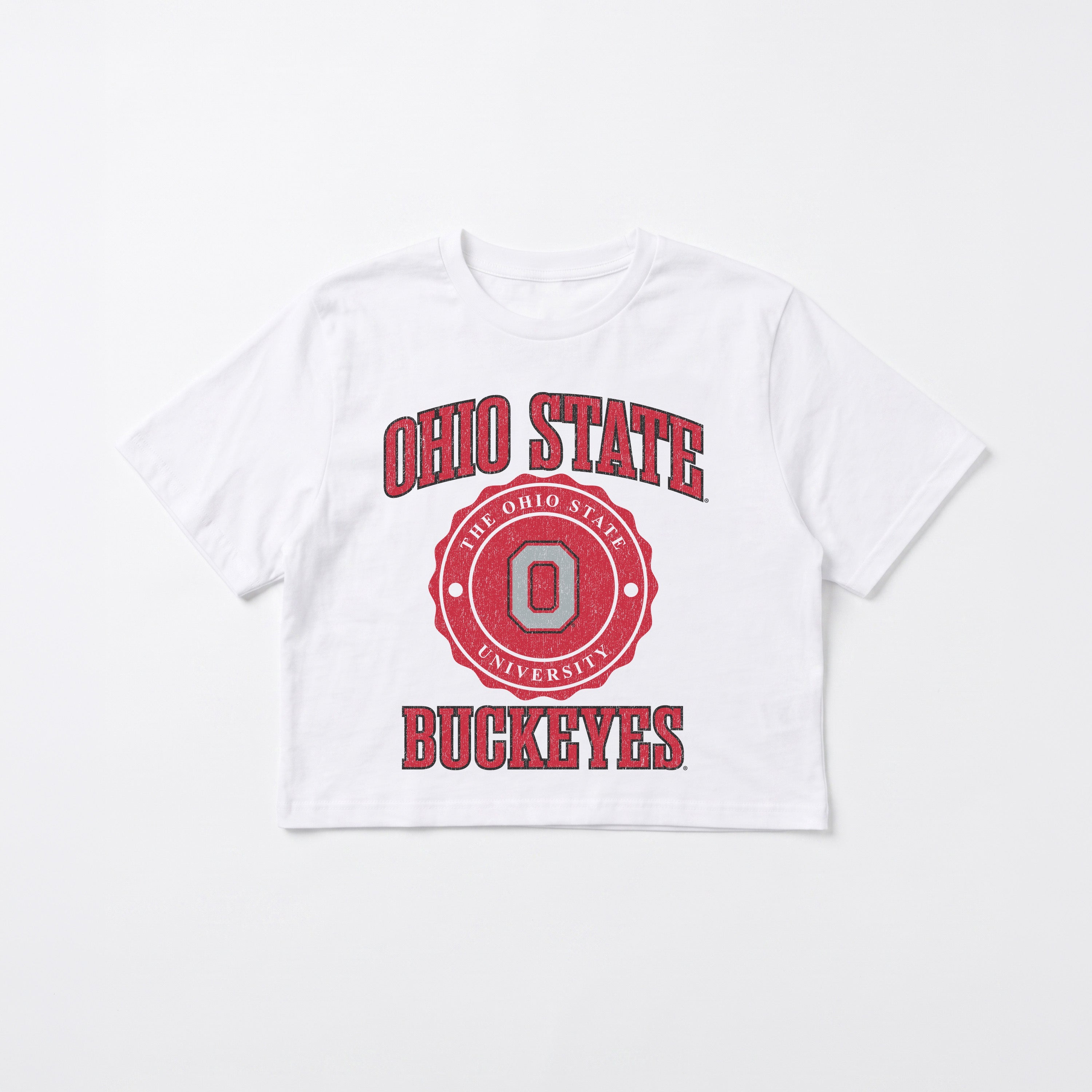 OHIO STATE BUCKEYES RETRO PLAY BOXY FIT CROPPED TEE