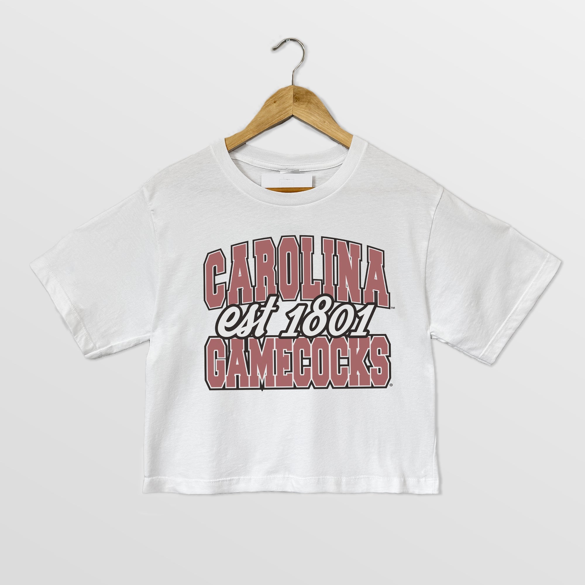 SOUTH CAROLINA GAMECOCKS DEEP ROOTS BOXY FIT WOMEN'S CROPPED TEE