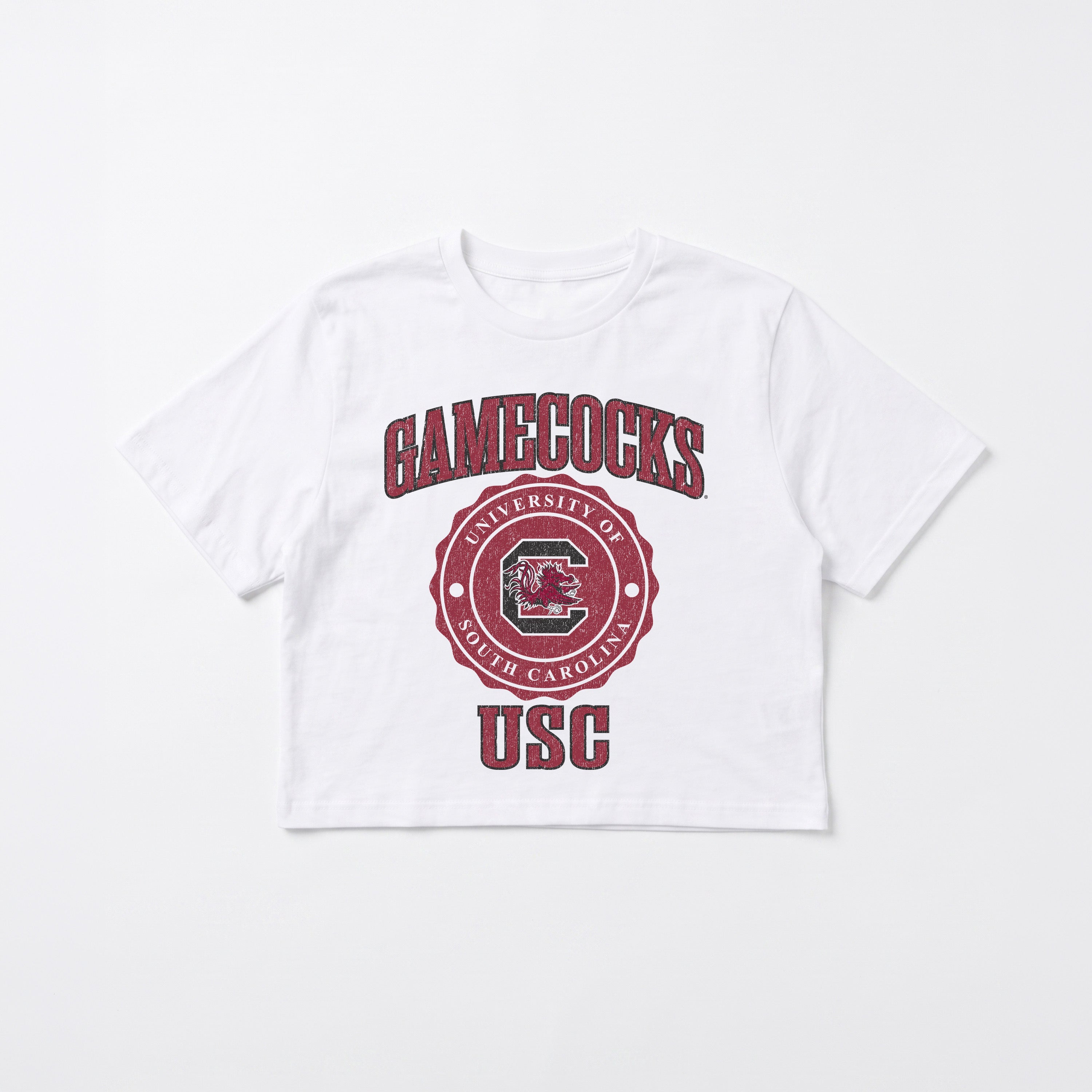 SOUTH CAROLINA GAMECOCKS RETRO PLAY BOXY FIT CROPPED TEE