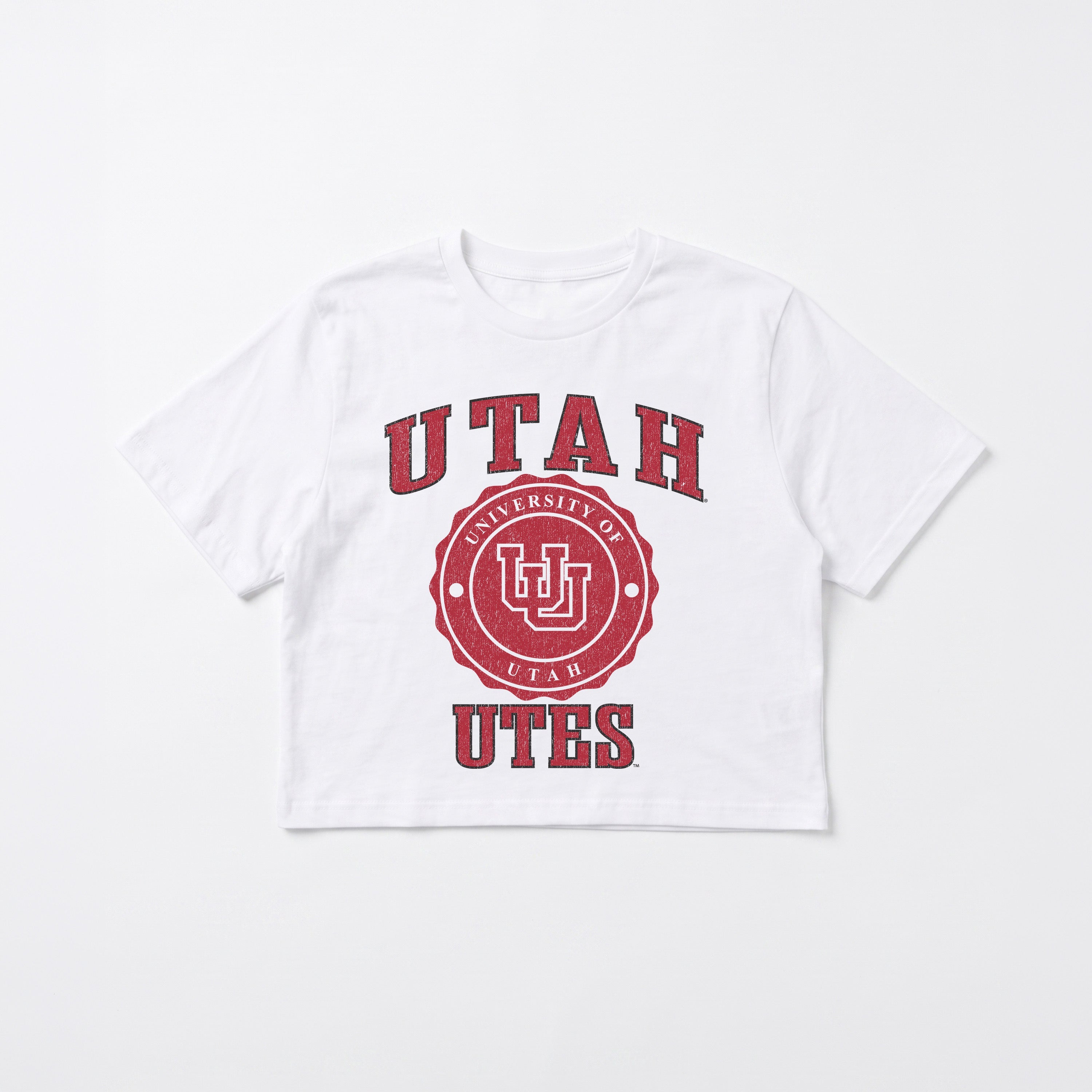 UTAH UTES RETRO PLAY BOXY FIT CROPPED TEE