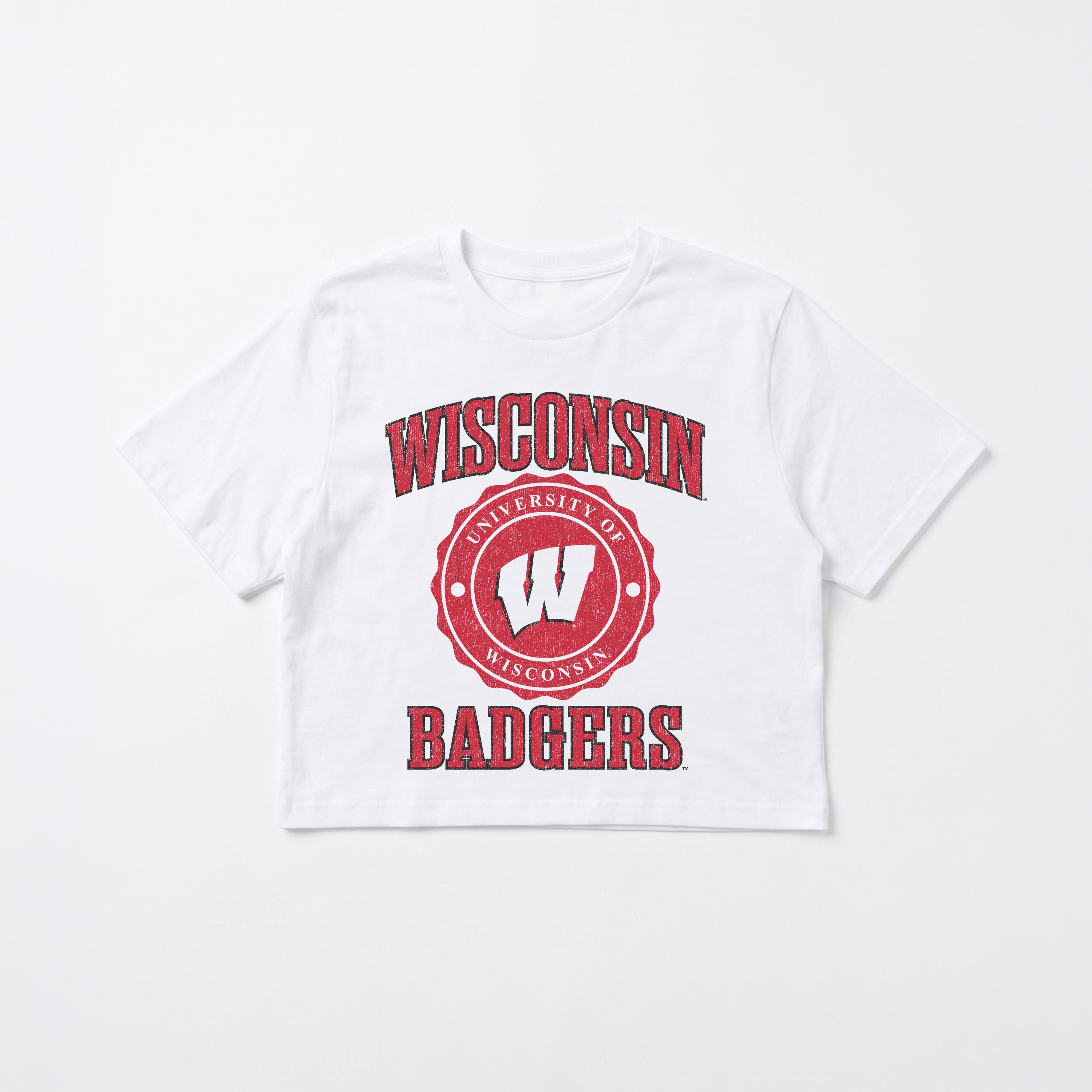 WISCONSIN BADGERS RETRO PLAY BOXY FIT CROPPED TEE