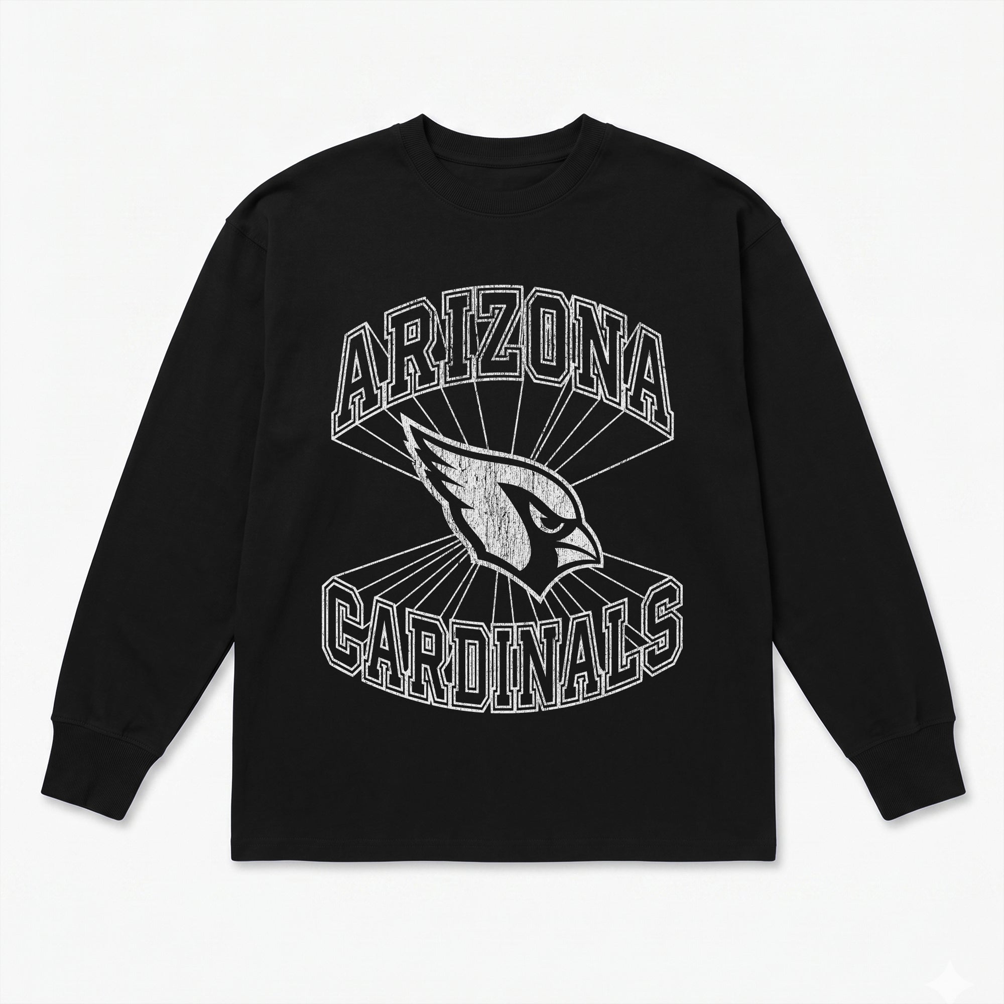 ARIZONA CARDINALS SPOTLIGHT OVERSIZED LONG SLEEVE TEE
