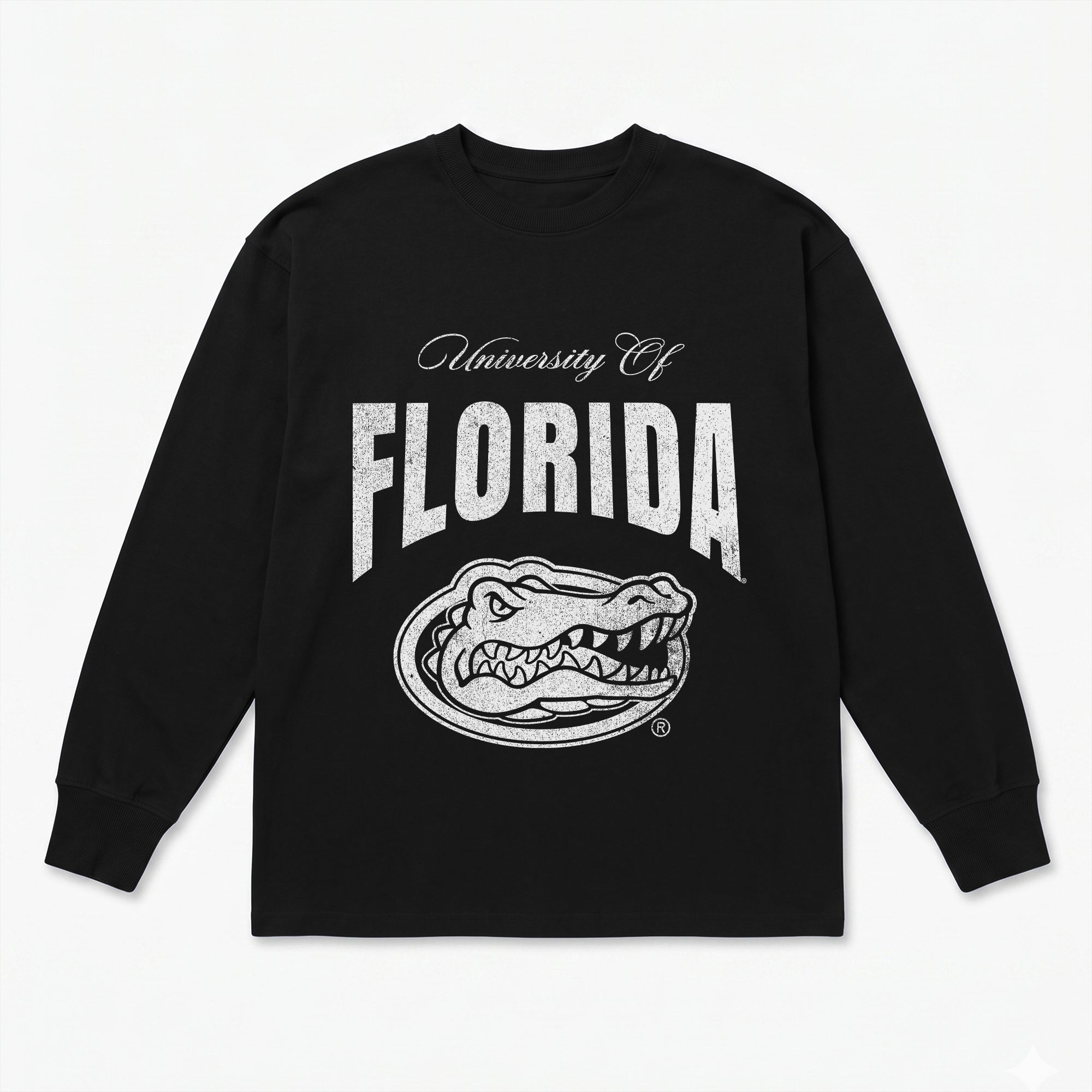FLORIDA GATORS BOLD AMBITION ESSENTIAL RELAXED FIT LONG SLEEVE TEE