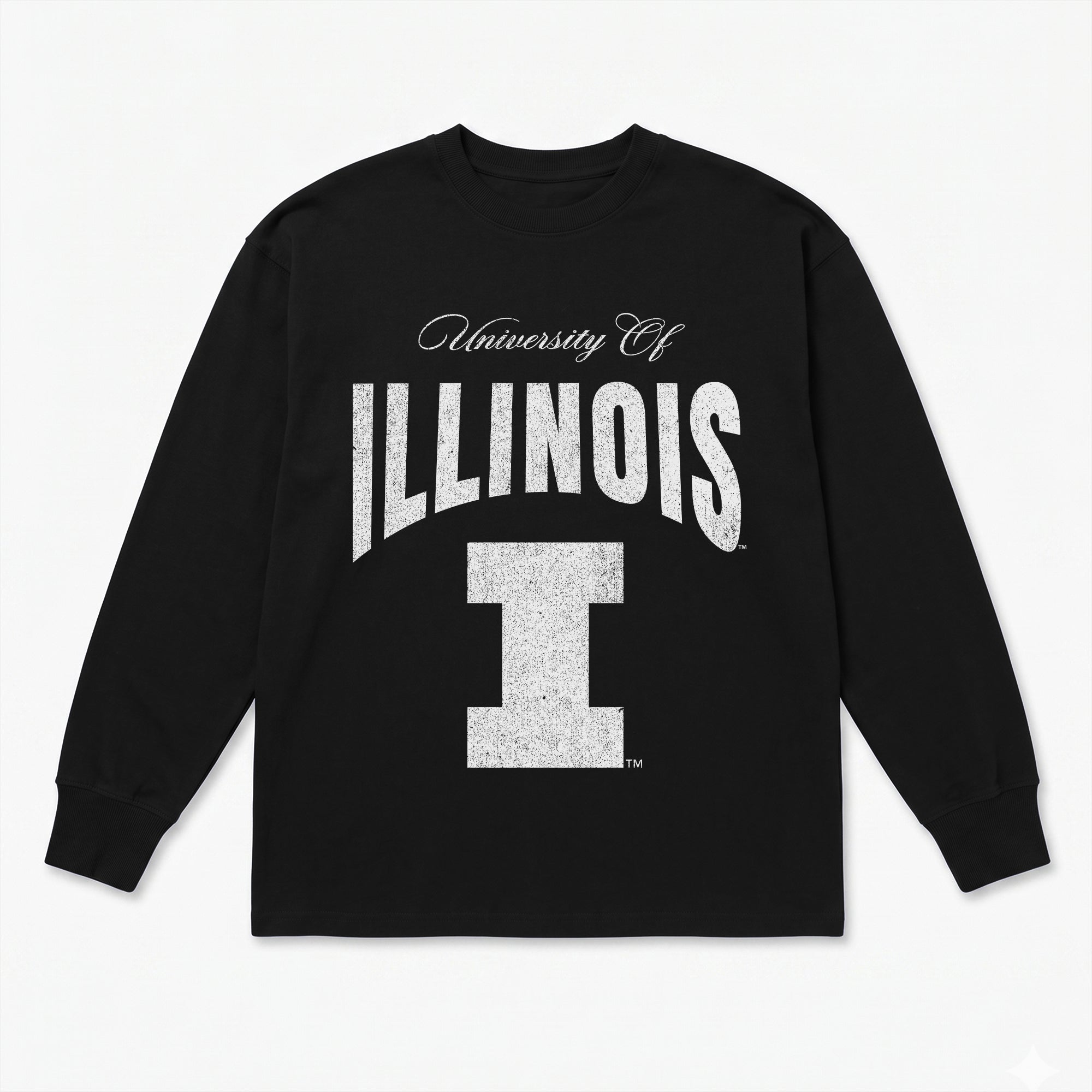 ILLINOIS FIGHTING ILLINI BOLD AMBITION ESSENTIAL RELAXED FIT LONG SLEEVE TEE
