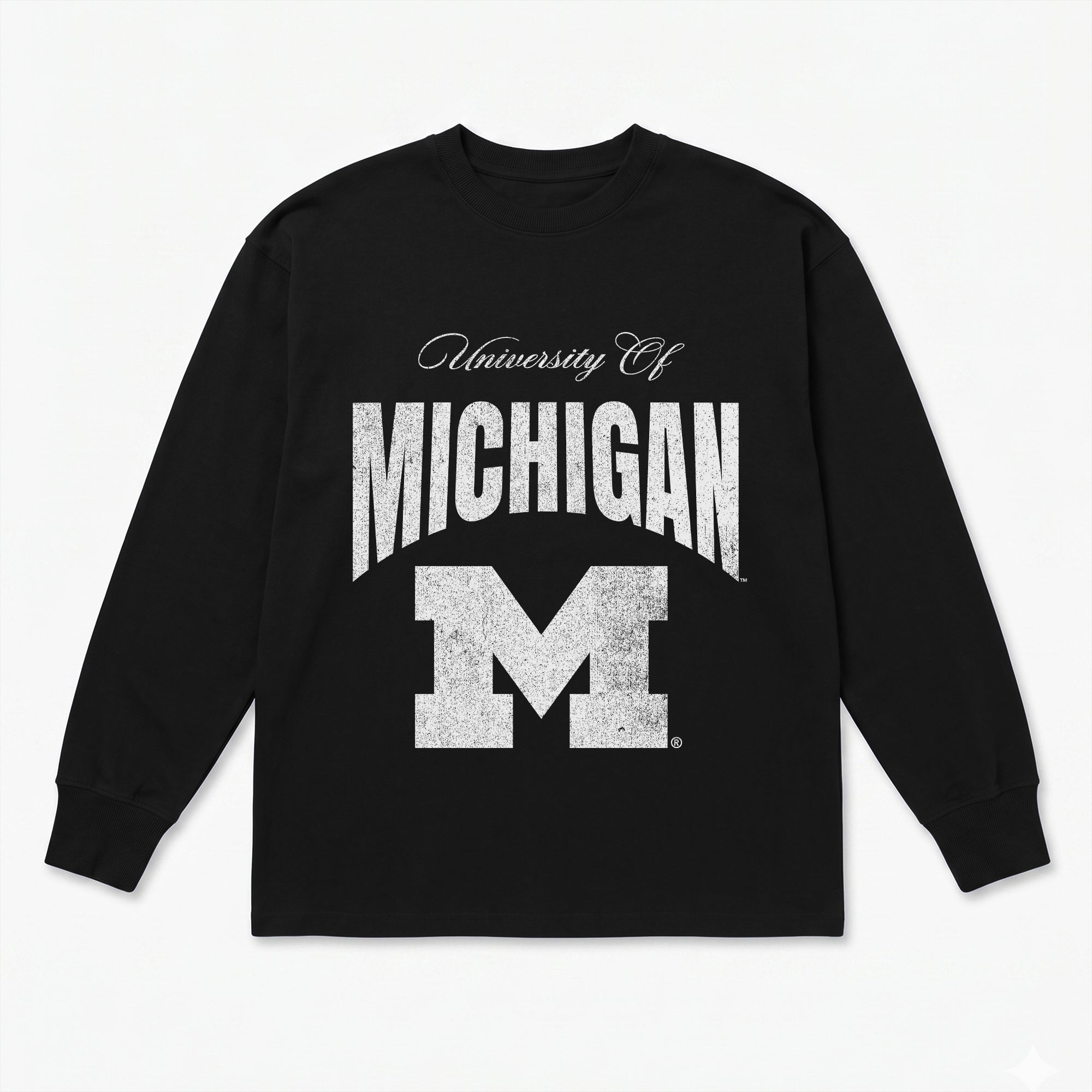 MICHIGAN WOLVERINES BOLD AMBITION ESSENTIAL RELAXED FIT LONG SLEEVE TEE