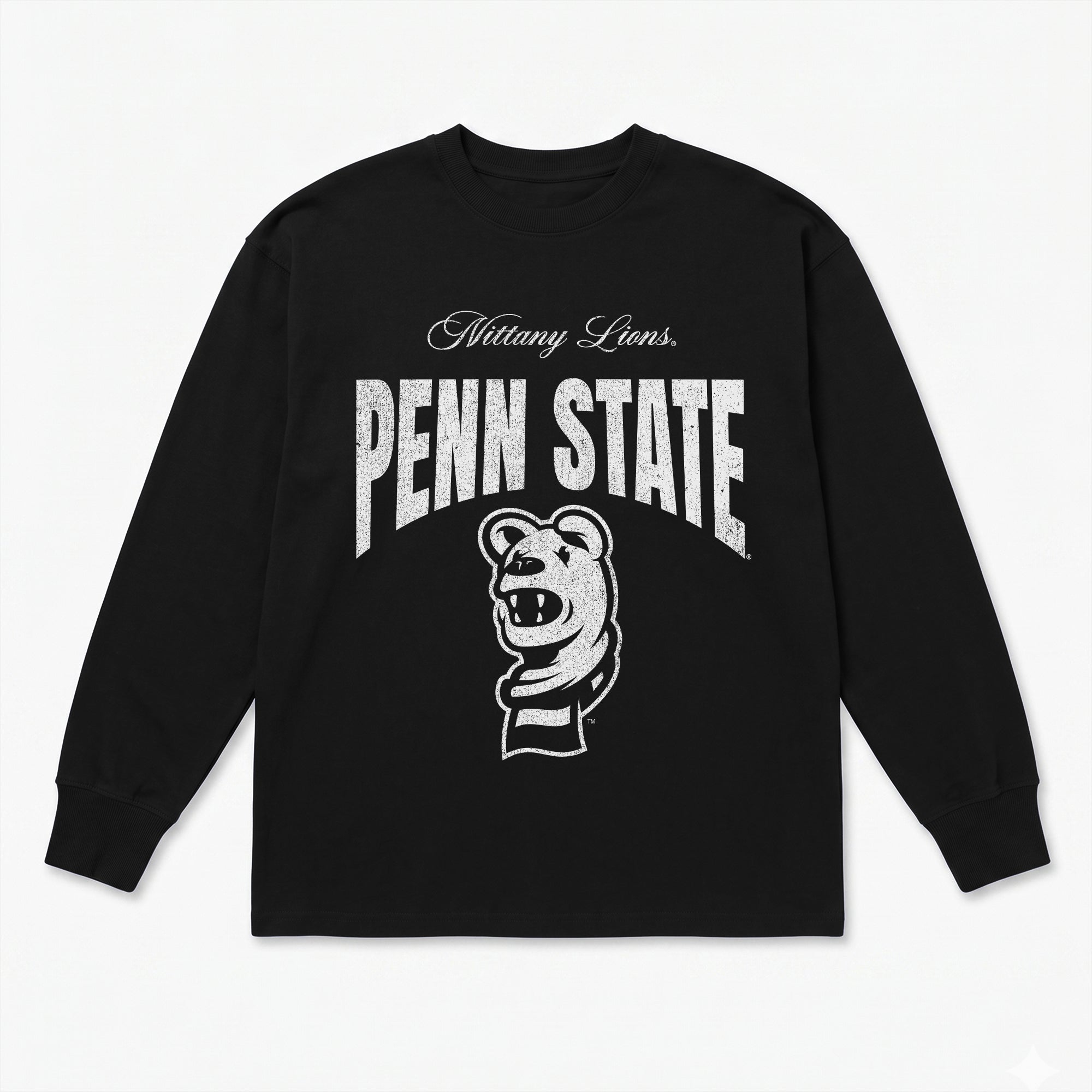 PENN STATE NITTANY LIONS BOLD AMBITION ESSENTIAL RELAXED FIT LONG SLEEVE TEE