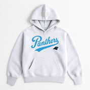 CAROLINA PANTHERS BIG ENERGY OVERSIZED PREMIUM WEIGHT HOODIE