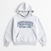 PENN STATE NITTANY LIONS DAILY GRIND OVERSIZED PREMIUM WEIGHT UNISEX HOODIE